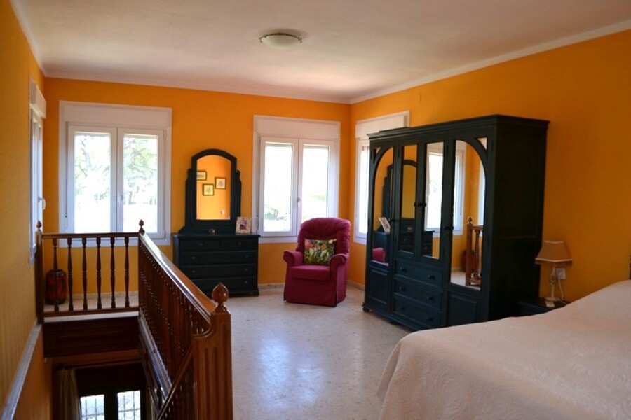 More photos