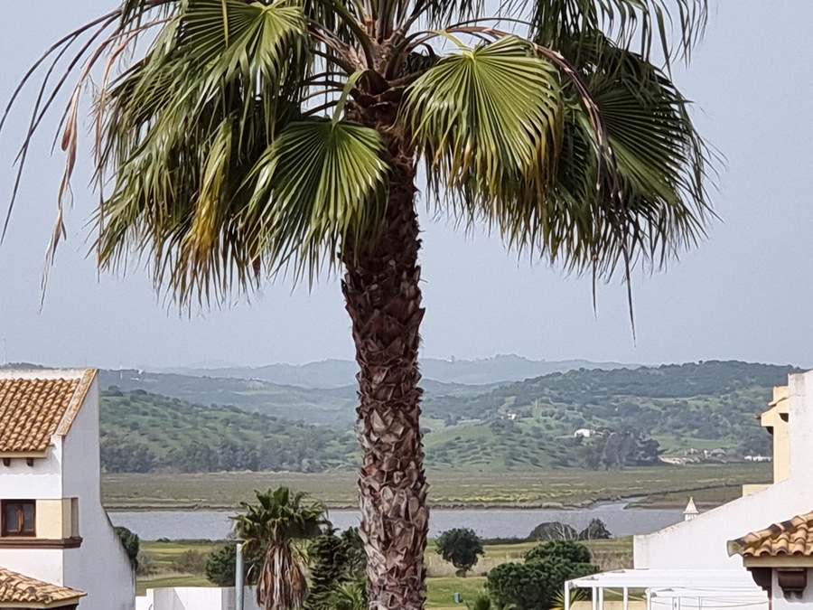 Apartment in Ayamonte 42
